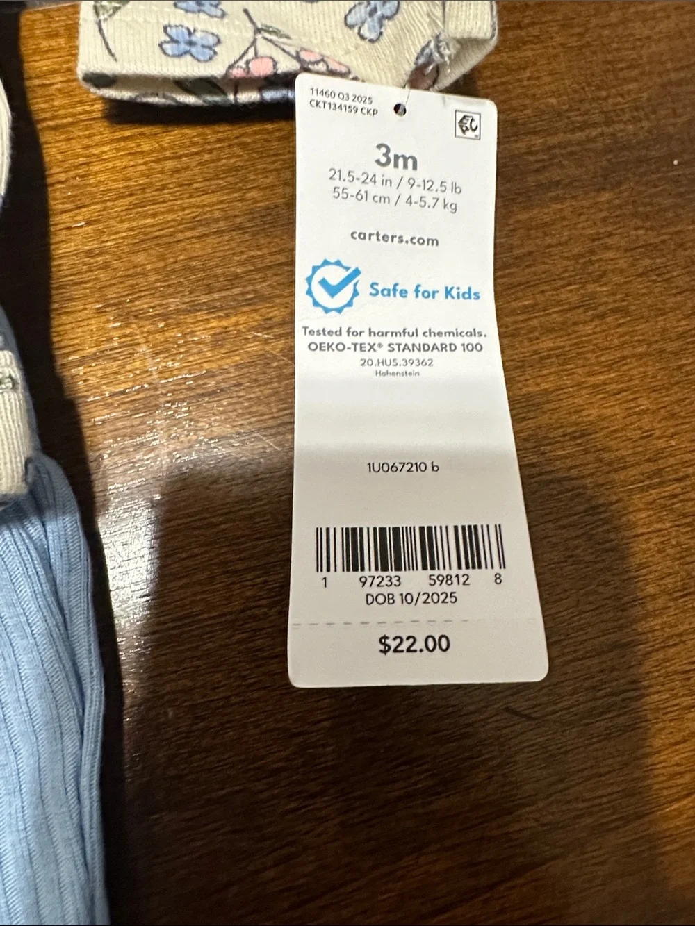 Carter's Floral Long-Sleeve Bodysuit with Light Blue Ribbed Pants